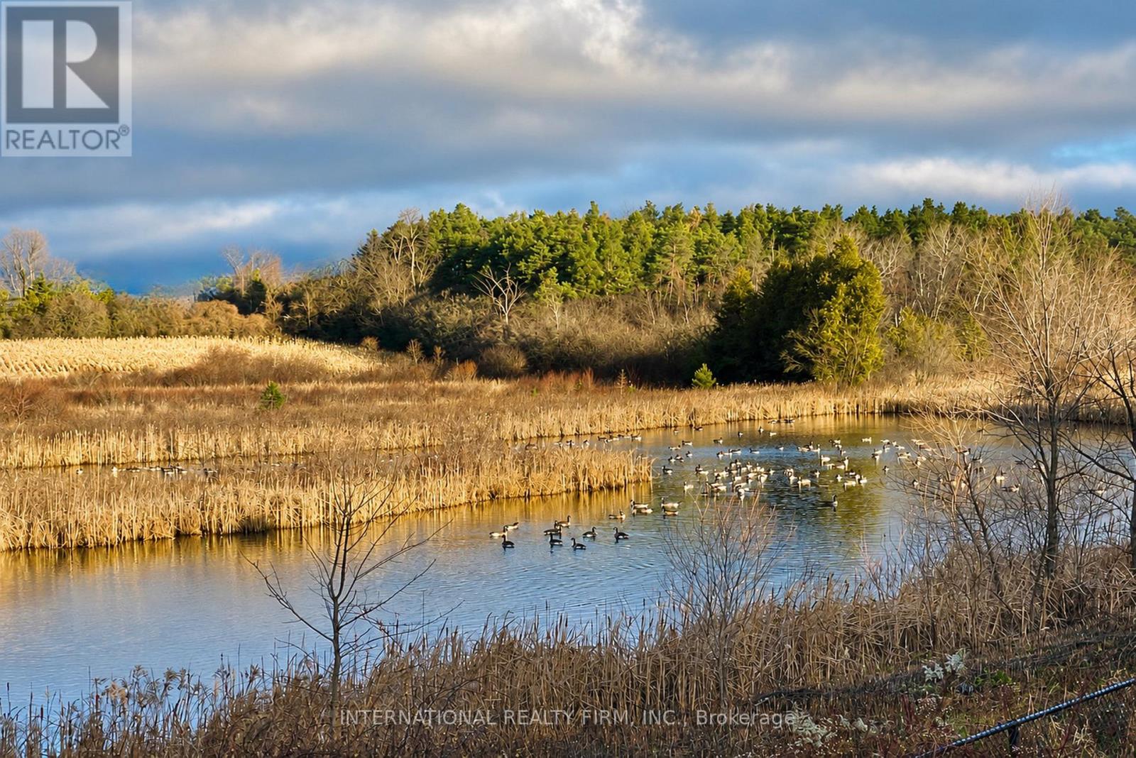 1453 Ireland Drive, Peterborough (Monaghan Ward 2), Ontario  K9K 0A4 - Photo 29 - X13110168