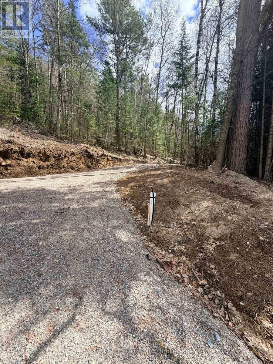 0 Highway 62 N, Bancroft (Bancroft Ward), Ontario  K0L 1C0 - Photo 3 - X13110336