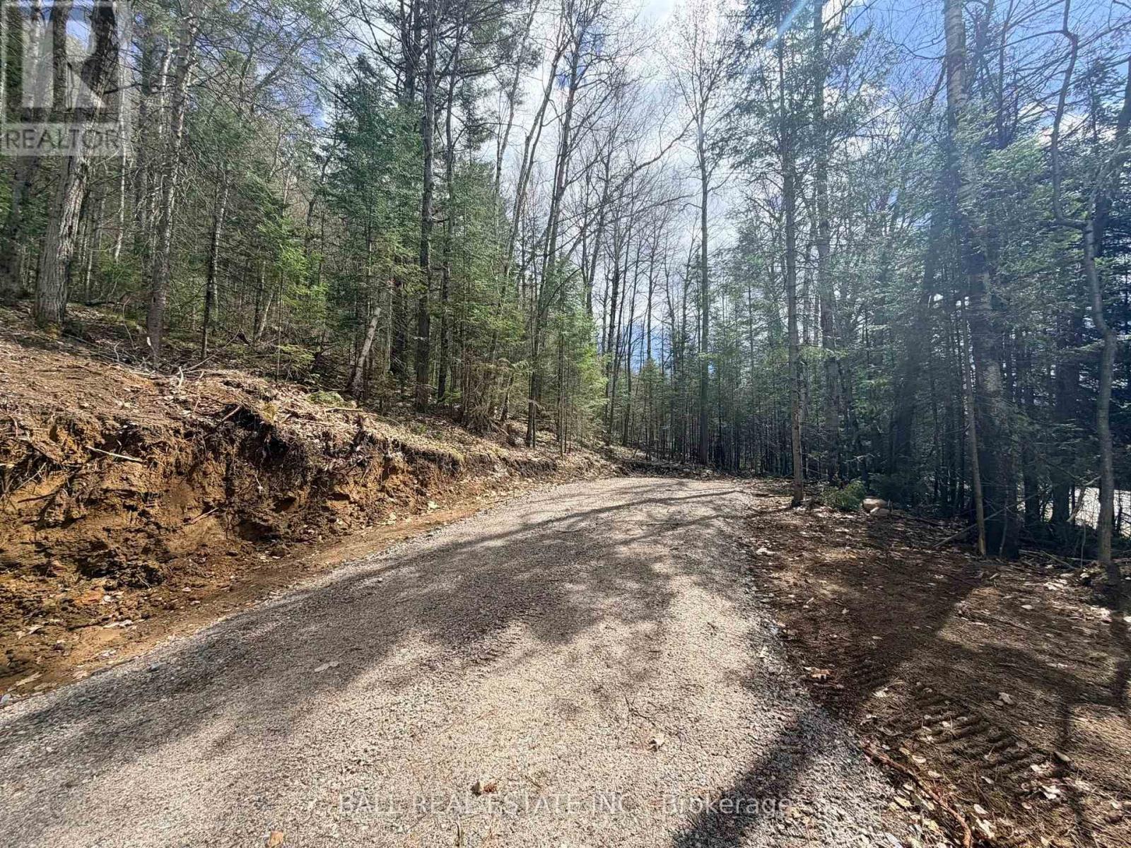 0 Highway 62 N, Bancroft (Bancroft Ward), Ontario  K0L 1C0 - Photo 4 - X13110336