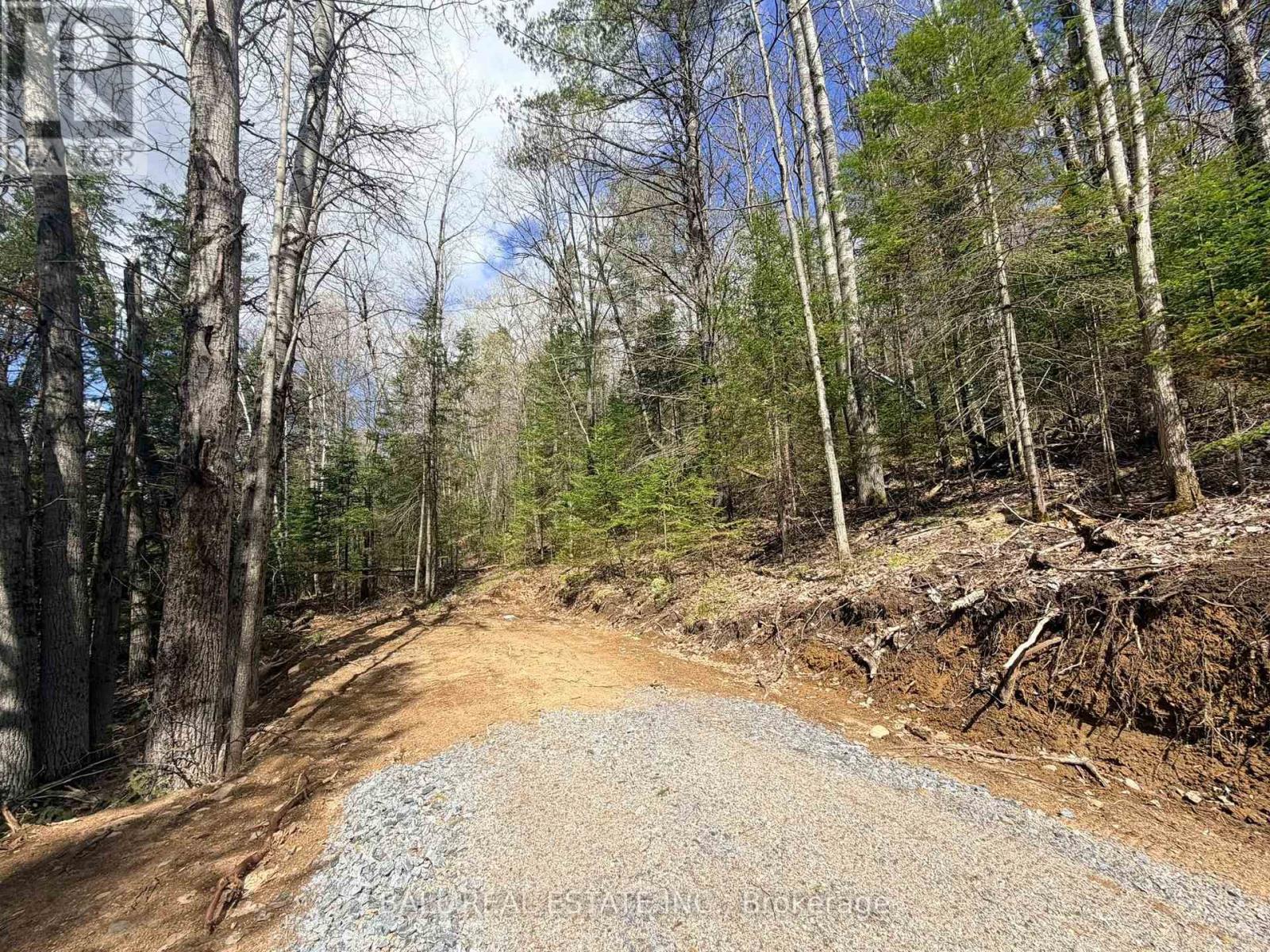 00 Highway 62 N, Bancroft (Bancroft Ward), Ontario  K0L 1C0 - Photo 10 - X13110342