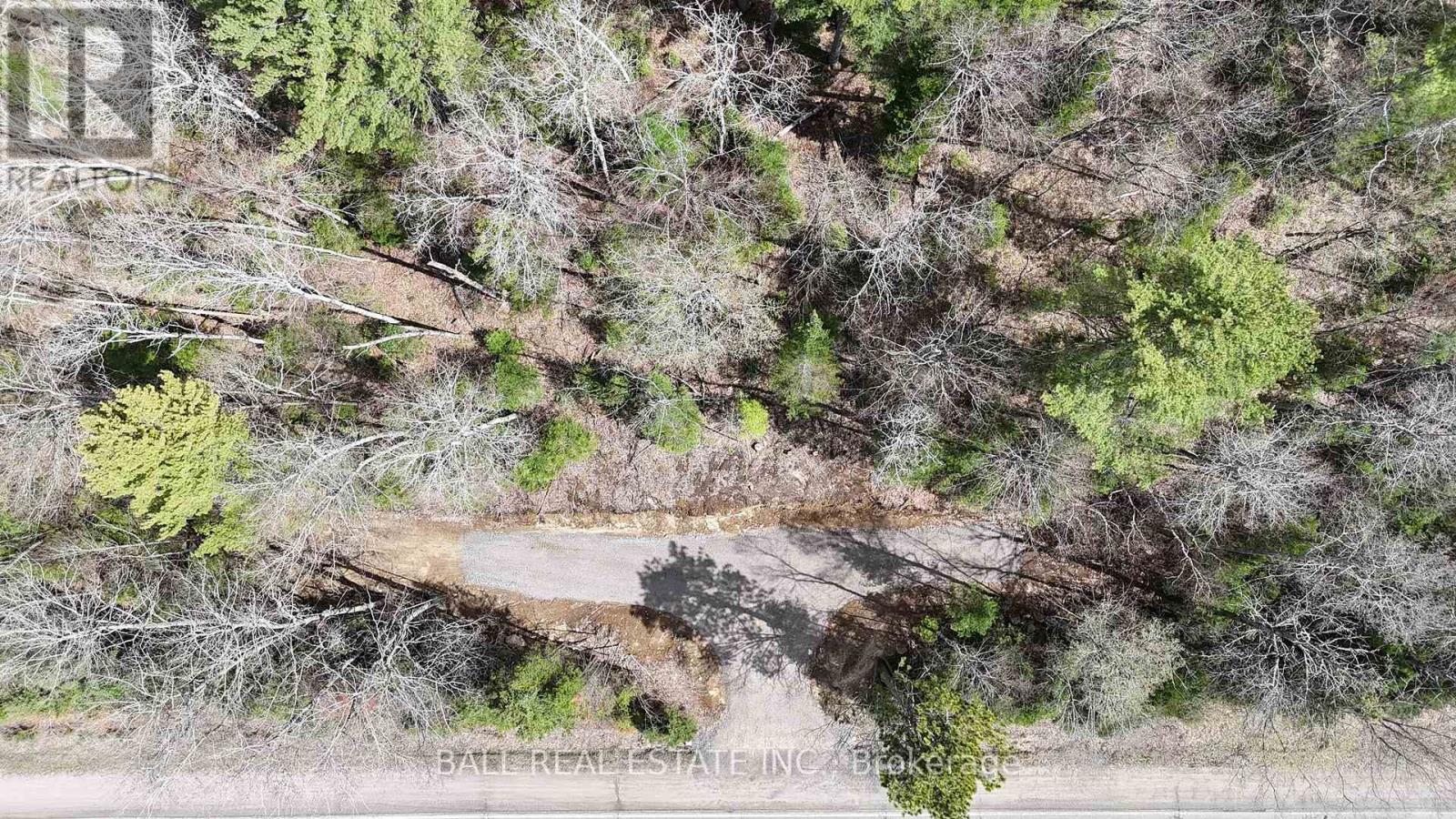 00 Highway 62 N, Bancroft (Bancroft Ward), Ontario  K0L 1C0 - Photo 6 - X13110342