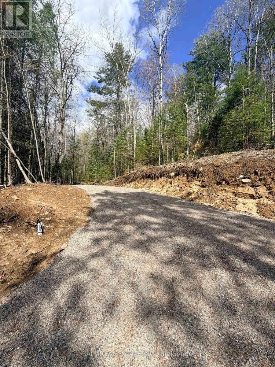 00 Highway 62 N, Bancroft (Bancroft Ward), Ontario  K0L 1C0 - Photo 8 - X13110342