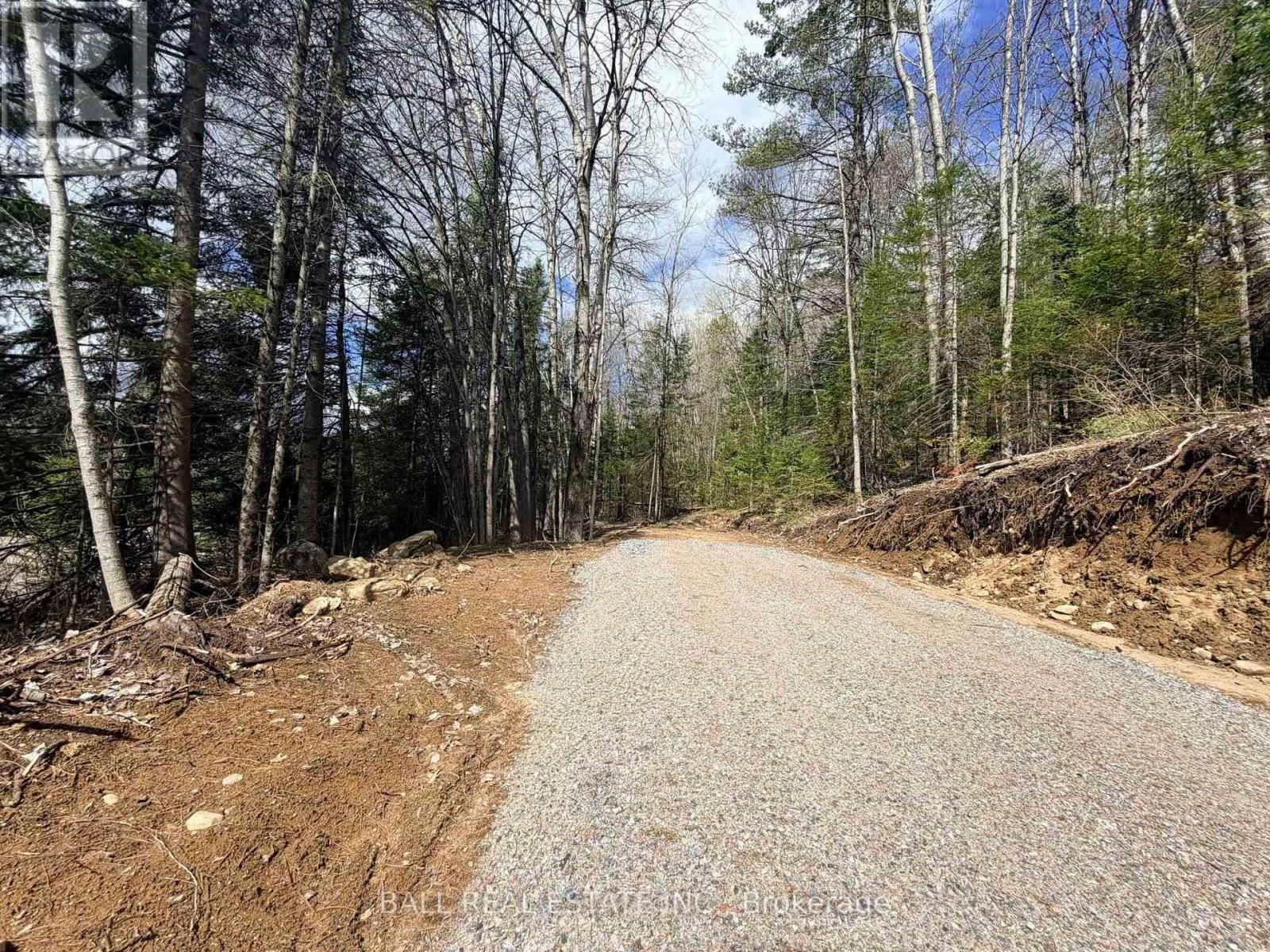 00 Highway 62 N, Bancroft (Bancroft Ward), Ontario  K0L 1C0 - Photo 9 - X13110342