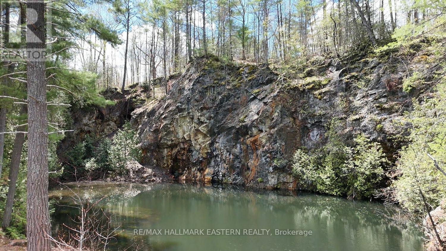 101 Fire Route 1, Havelock-Belmont-Methuen (Belmont-Methuen), Ontario  K0L 1Z0 - Photo 10 - X13110354