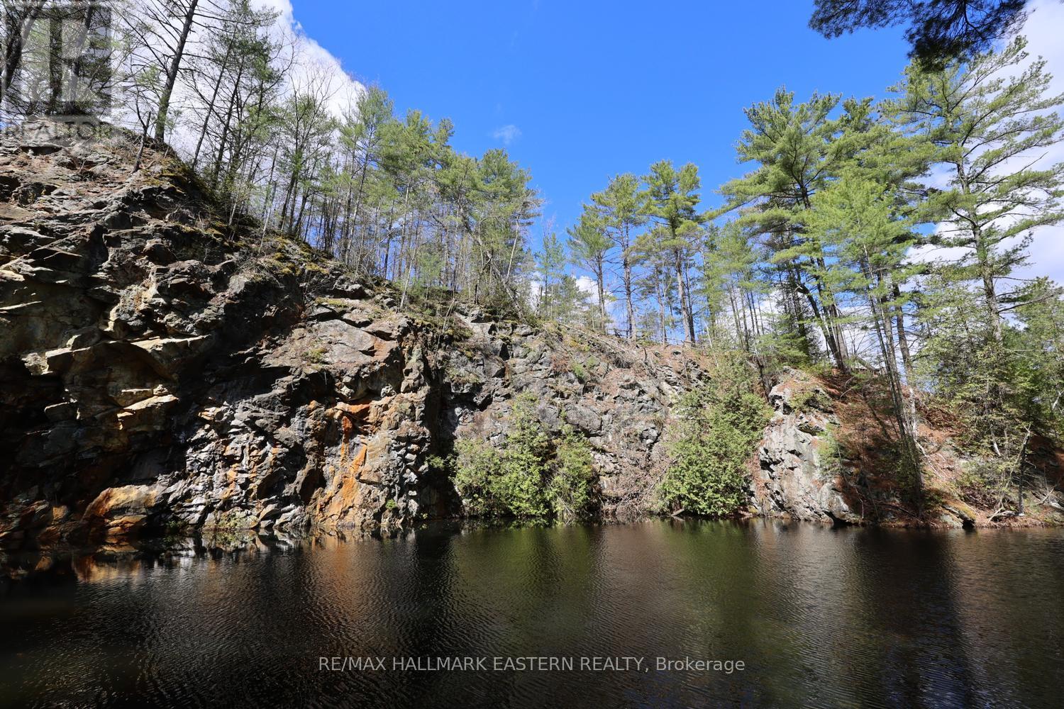 101 Fire Route 1, Havelock-Belmont-Methuen (Belmont-Methuen), Ontario  K0L 1Z0 - Photo 11 - X13110354