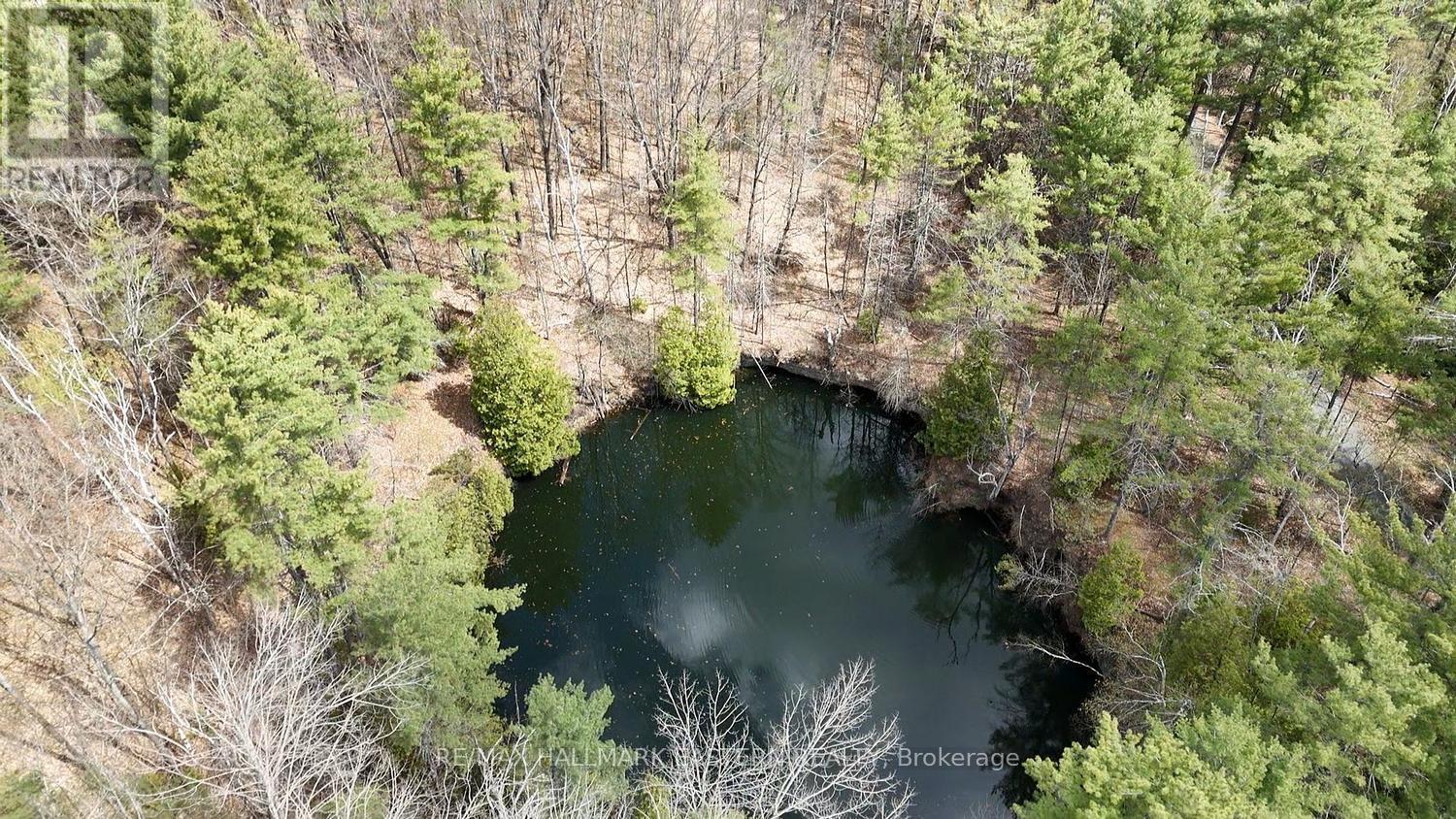 101 Fire Route 1, Havelock-Belmont-Methuen (Belmont-Methuen), Ontario  K0L 1Z0 - Photo 32 - X13110354