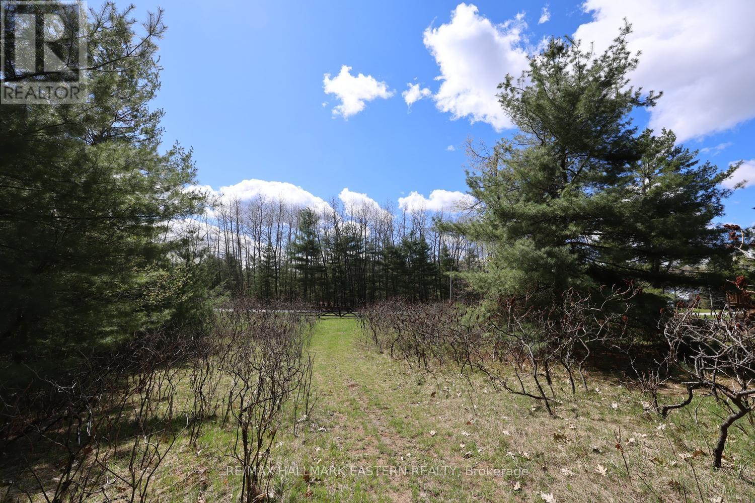 101 Fire Route 1, Havelock-Belmont-Methuen (Belmont-Methuen), Ontario  K0L 1Z0 - Photo 39 - X13110354