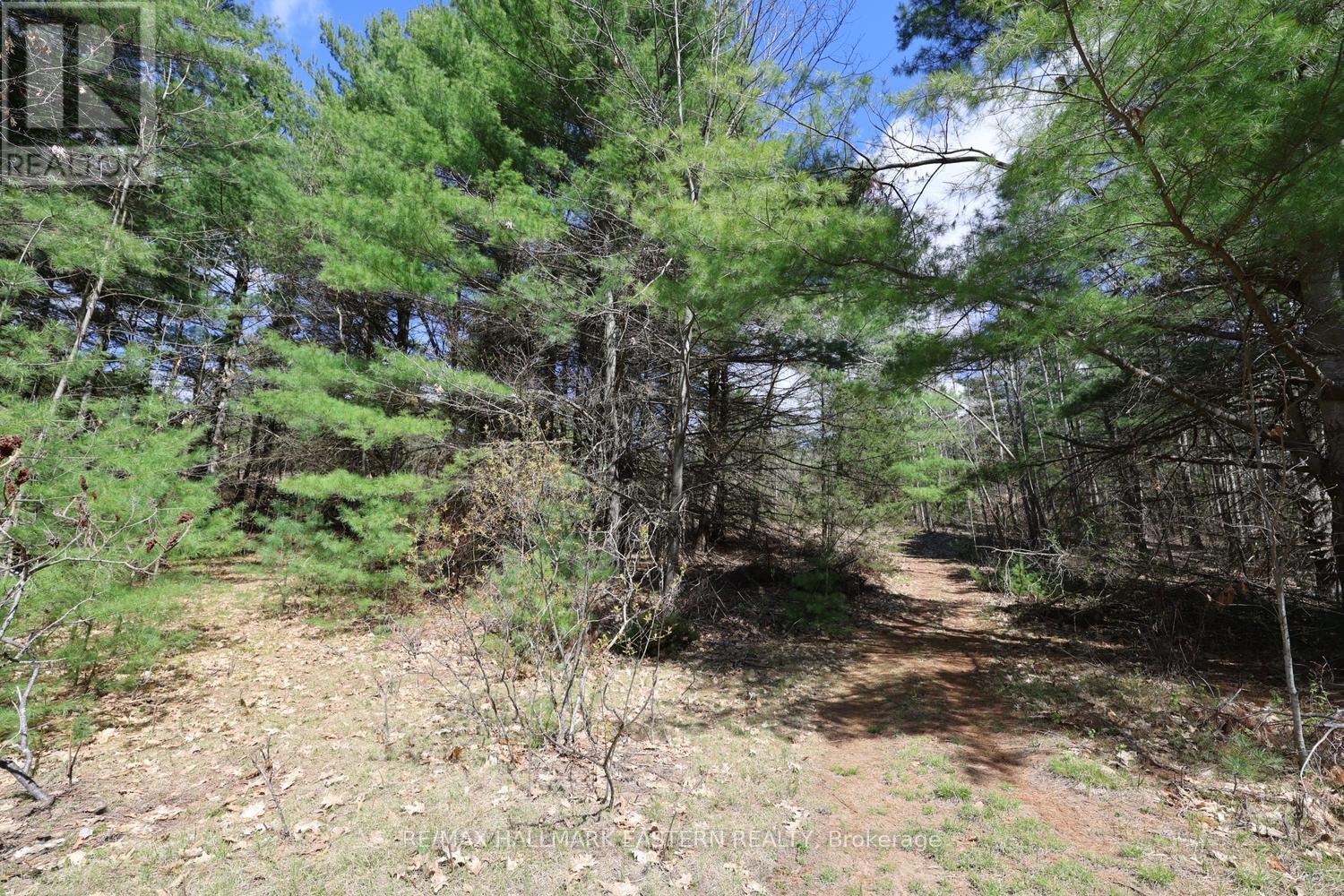 101 Fire Route 1, Havelock-Belmont-Methuen (Belmont-Methuen), Ontario  K0L 1Z0 - Photo 40 - X13110354