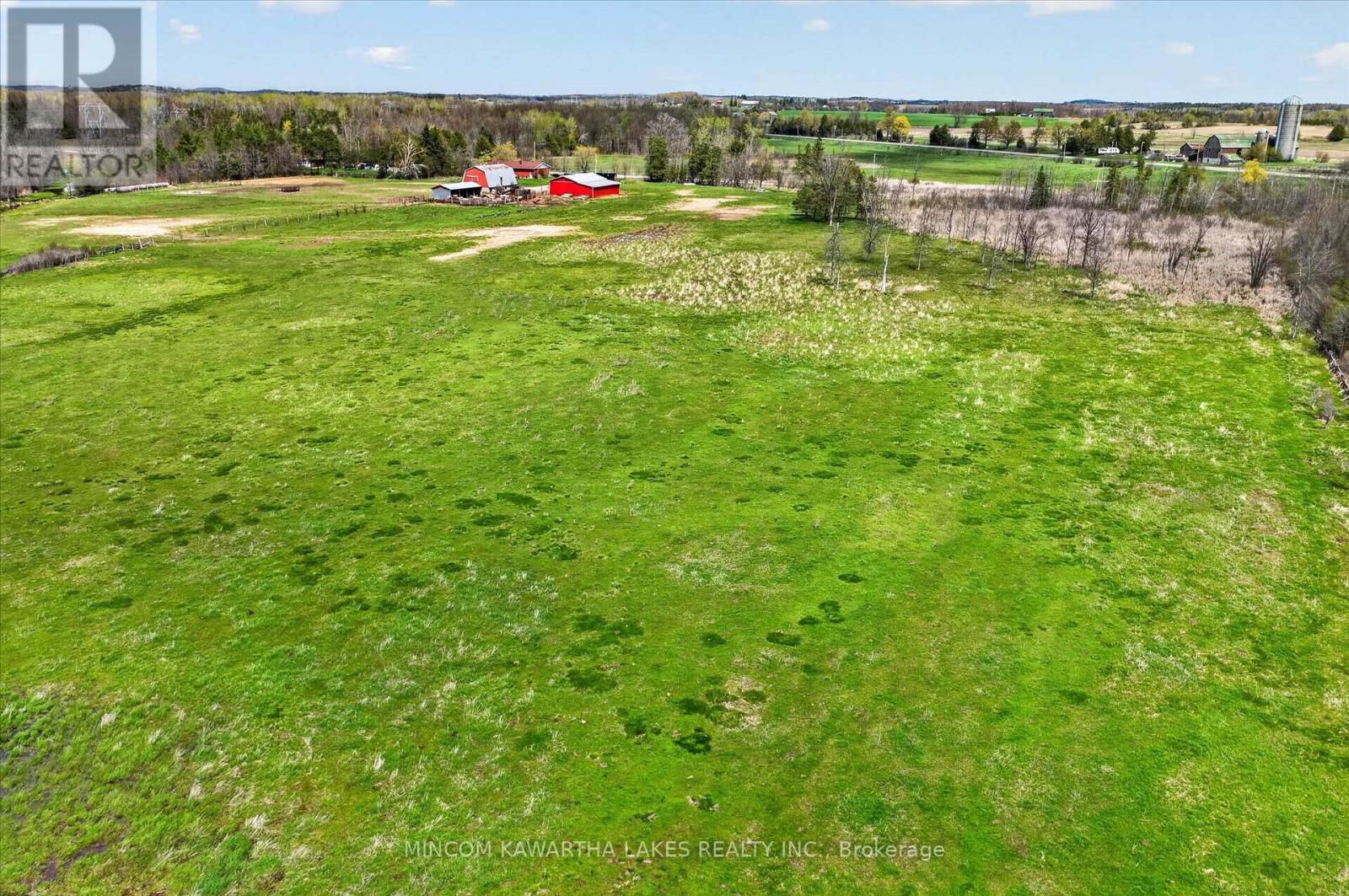 1528 Matchett Line, Otonabee-South Monaghan, Ontario  K9J 6Y3 - Photo 11 - X13110620