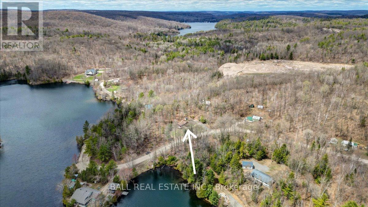 164 Trout Lake Road, Faraday, Ontario  K0L 1C0 - Photo 5 - X13111190