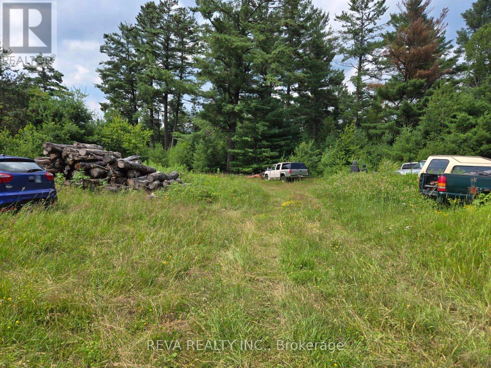 30560 Highway 62 N, Hastings Highlands (Monteagle Ward), Ontario  K0L 1C0 - Photo 4 - X13111334