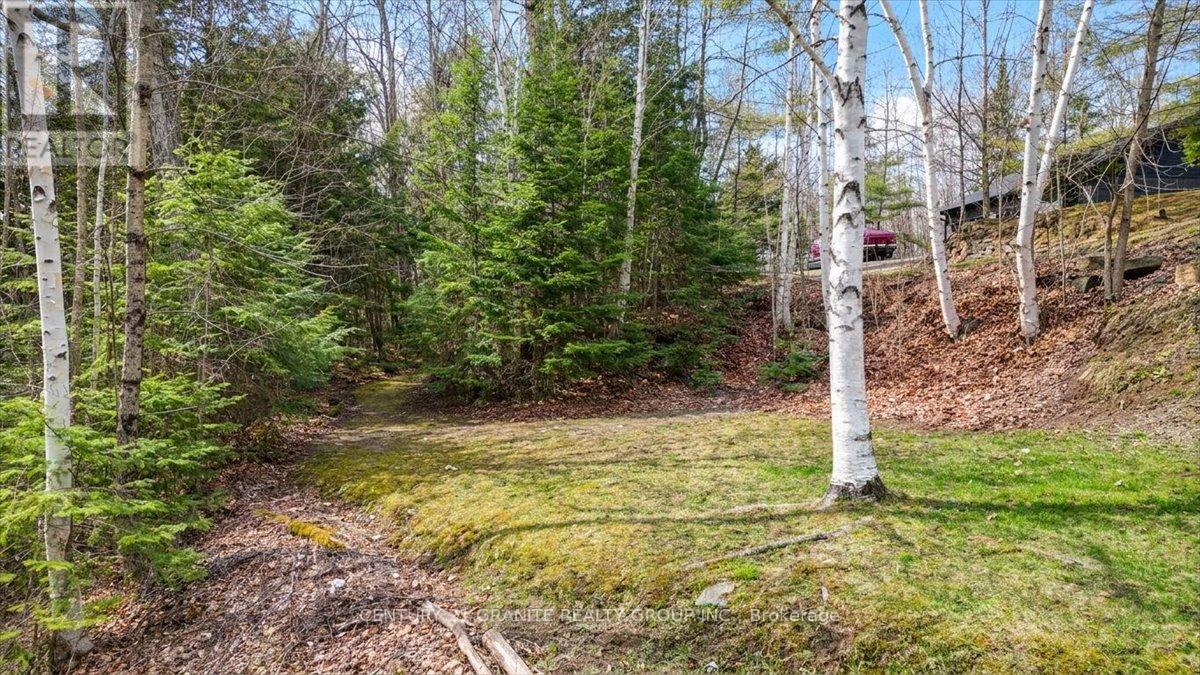245 Cedar Ridge Trail, Faraday, Ontario  K0L 1C0 - Photo 38 - X13112766