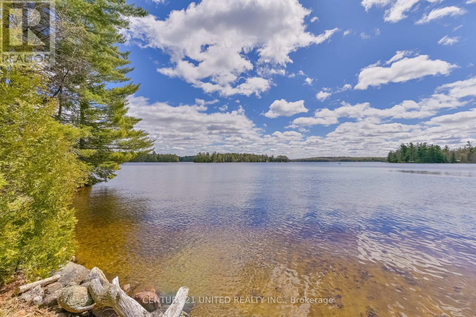 3632 County Road 507, Trent Lakes, Ontario  K0L 1J0 - Photo 12 - X13113068