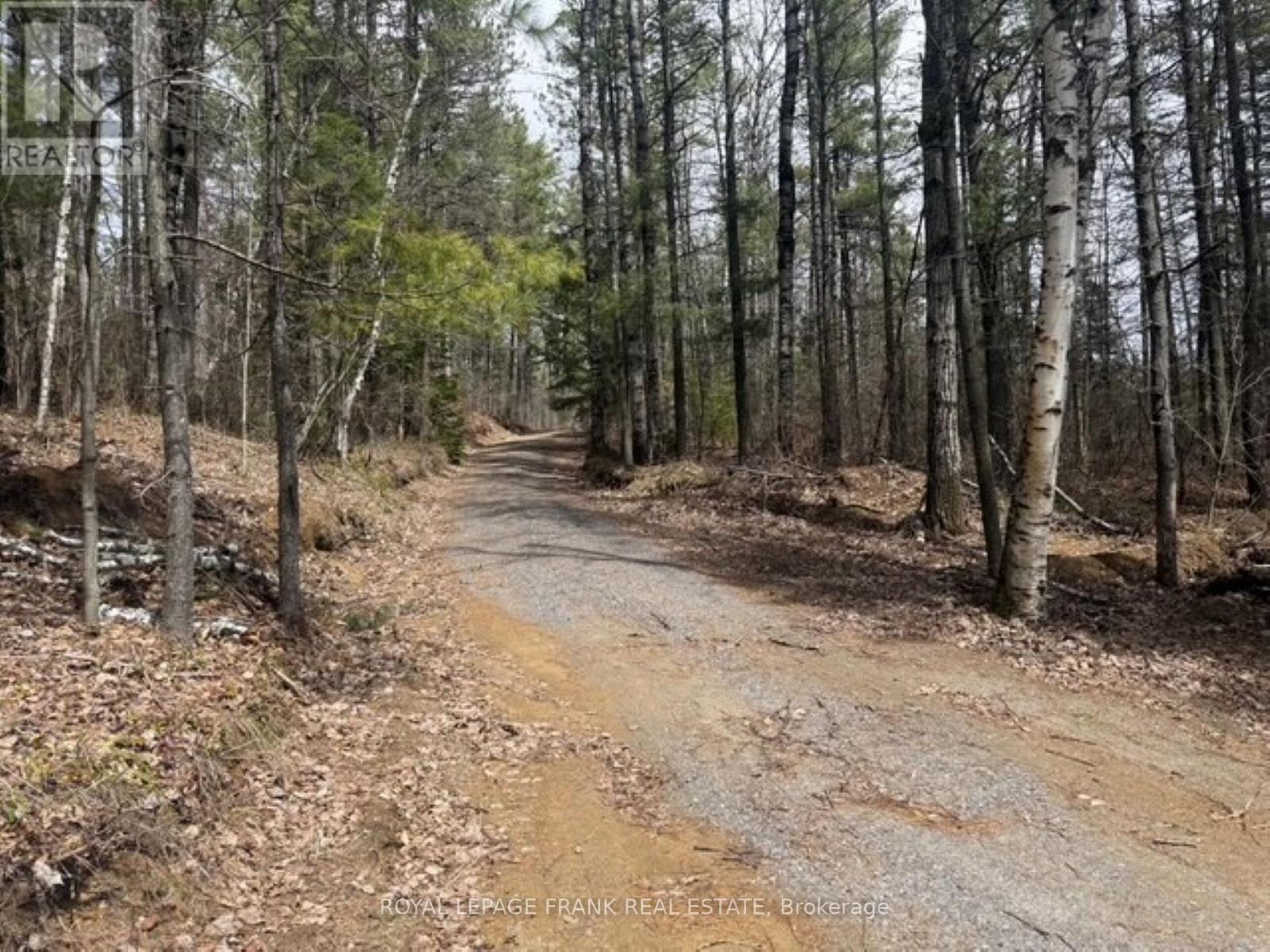 48 White Pine Lane, Hastings Highlands (Mcclure Ward), Ontario  K0L 2K0 - Photo 31 - X13113374