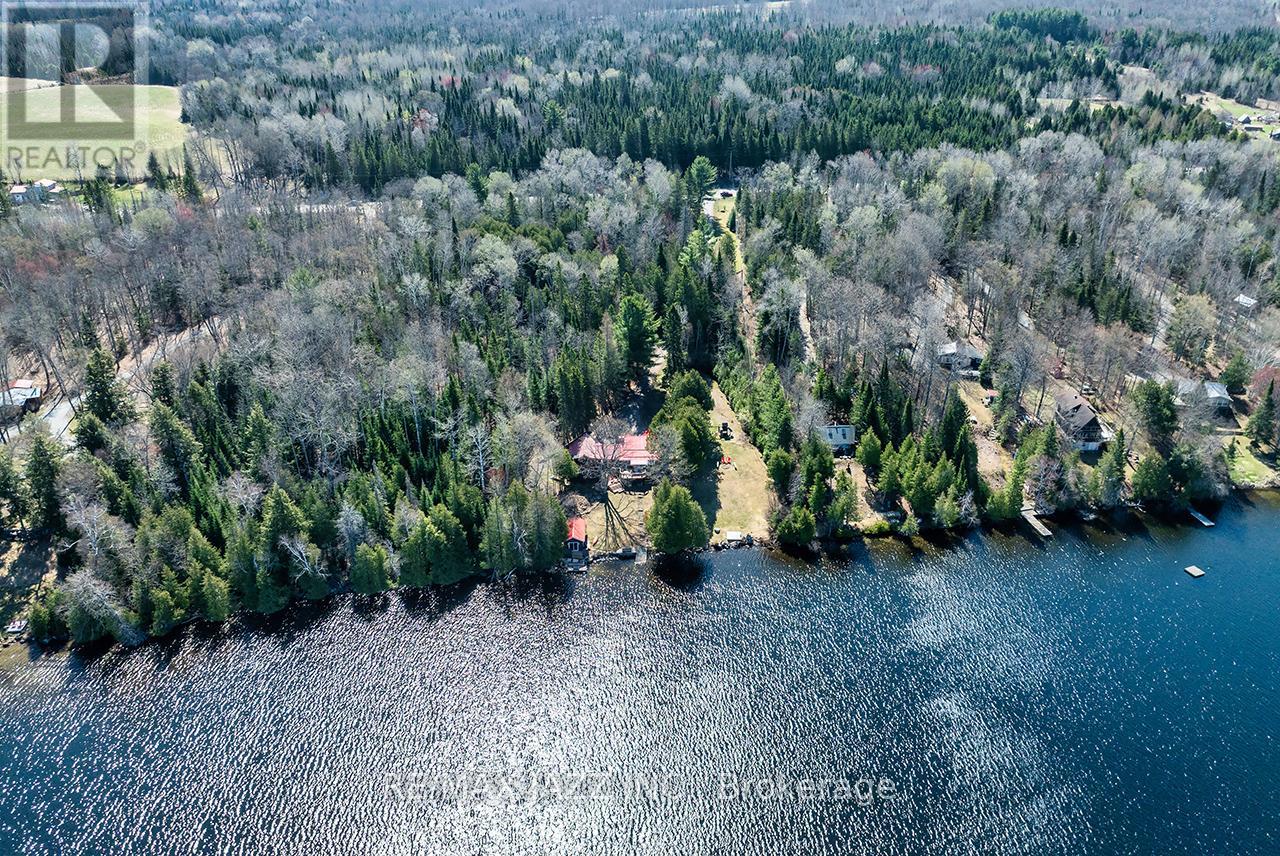 37343 Highway 62 N, Hastings Highlands (Bangor Ward), Ontario  K0L 2S0 - Photo 2 - X13116402