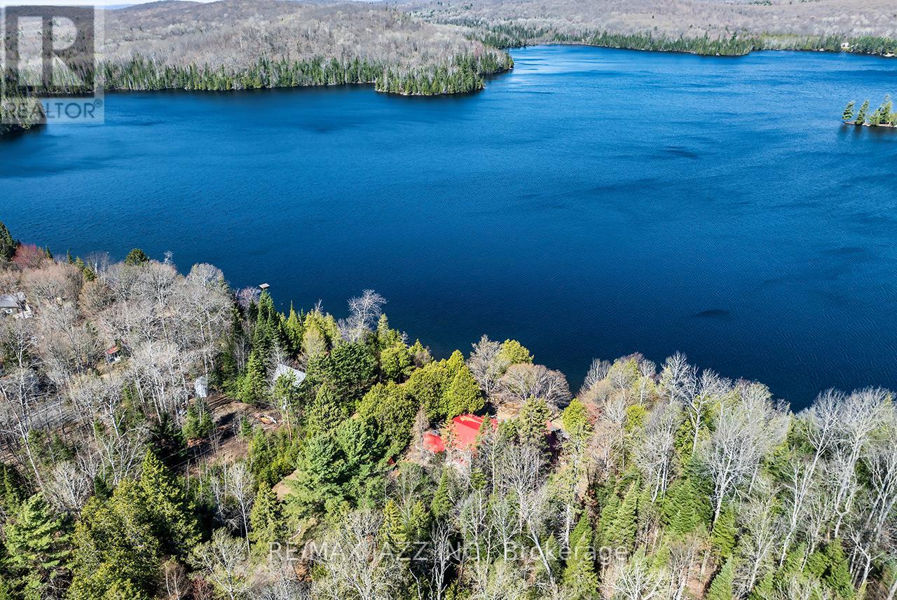 37343 Highway 62 N, Hastings Highlands (Bangor Ward), Ontario  K0L 2S0 - Photo 9 - X13116402