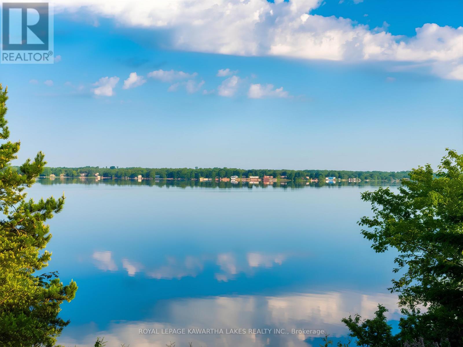 21 Emerald Street, Kawartha Lakes (Fenelon), Ontario  K9V 4R6 - Photo 48 - X13116588