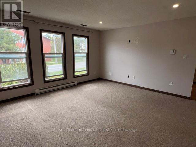 178 Colborne Street W, Kawartha Lakes (Lindsay), Ontario  K9V 6A1 - Photo 4 - X13120964