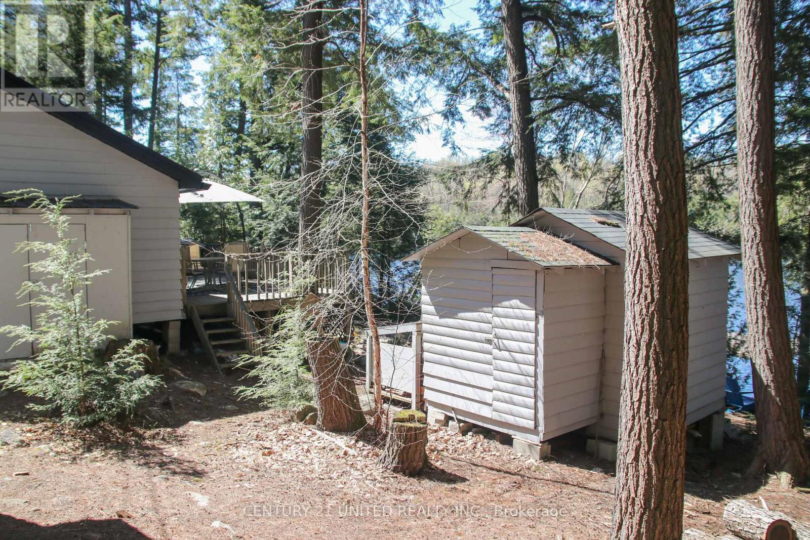 812 Island 8 Catchacoma Lake, Trent Lakes, Ontario  K0L 1J0 - Photo 37 - X13121470