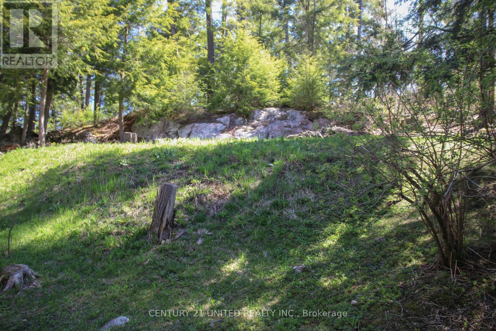 812 Island 8 Catchacoma Lake, Trent Lakes, Ontario  K0L 1J0 - Photo 39 - X13121470