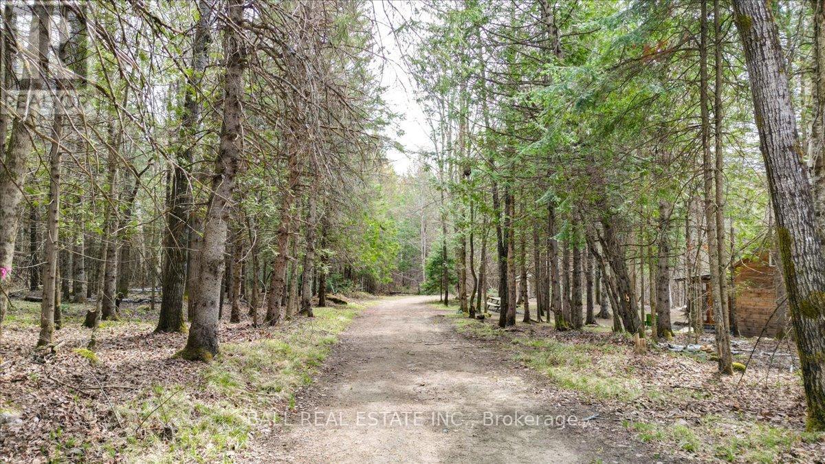 1404 Hybla Road, Hastings Highlands (Monteagle Ward), Ontario  K0L 1C0 - Photo 32 - X13122014