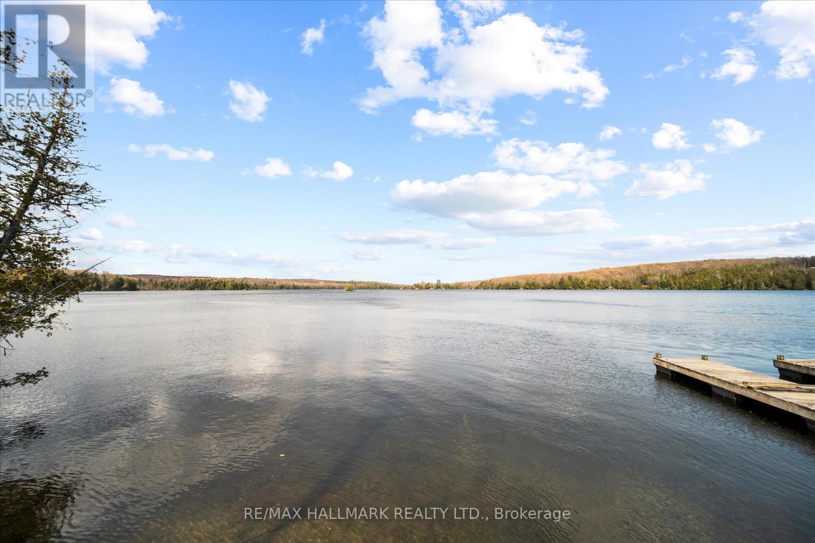 2000 County Road 620 Drive, North Kawartha, Ontario  K0L 1A0 - Photo 15 - X13123056