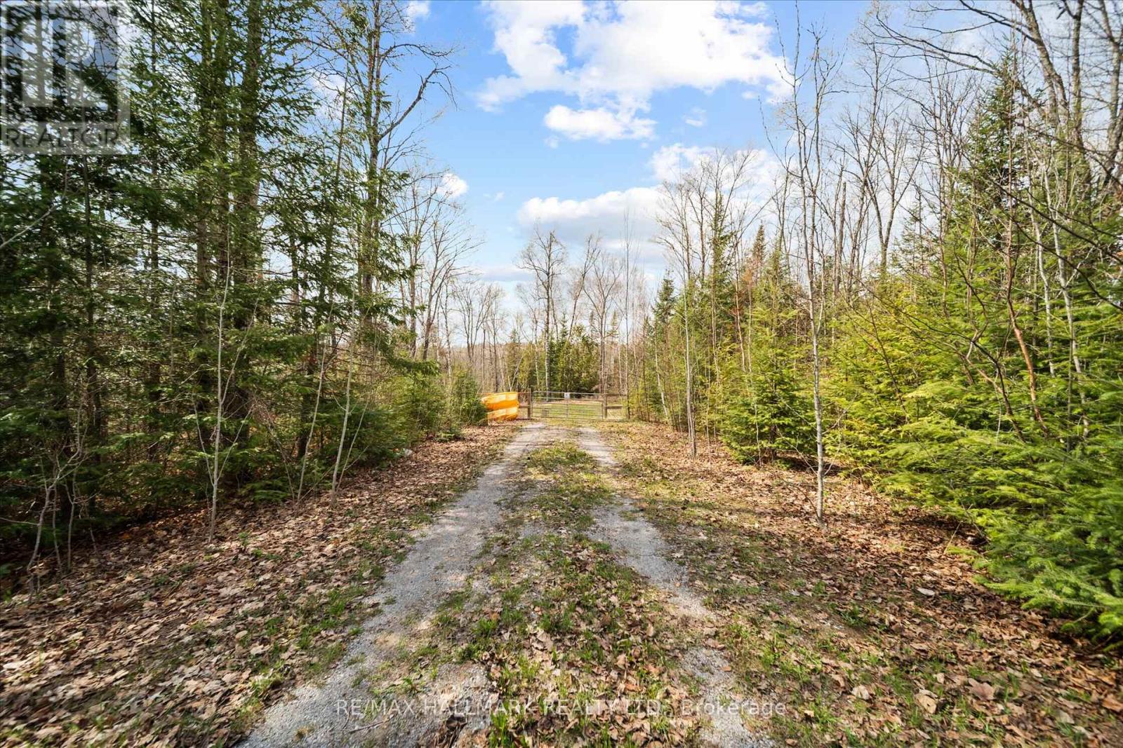 2000 County Road 620 Drive, North Kawartha, Ontario  K0L 1A0 - Photo 17 - X13123056