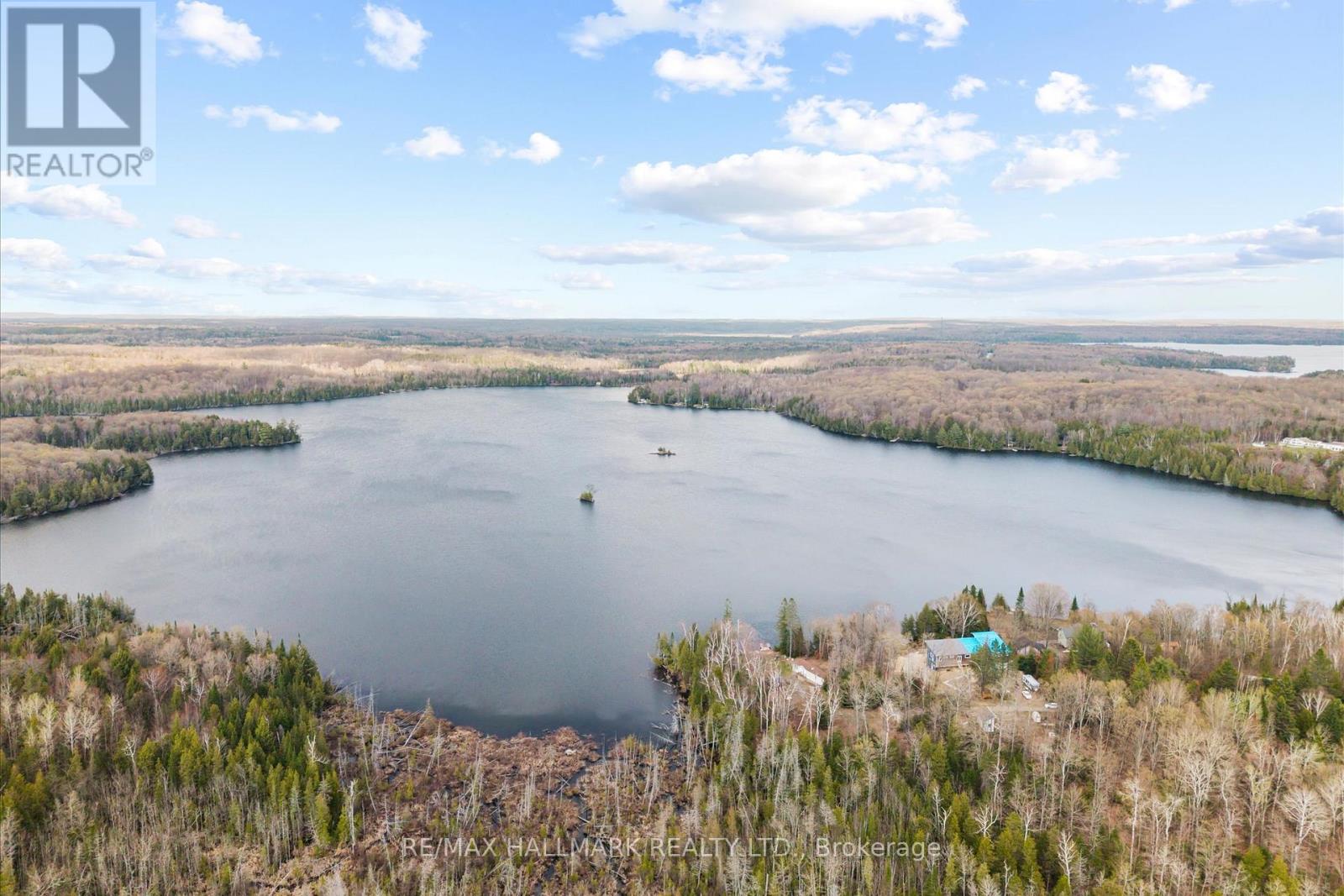 2000 County Road 620 Drive, North Kawartha, Ontario  K0L 1A0 - Photo 33 - X13123056