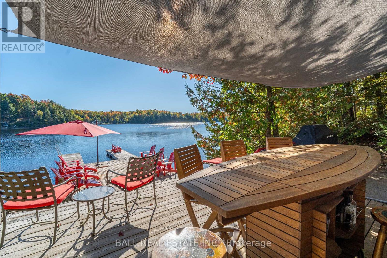 55 Fire Route 209, Trent Lakes, Ontario  K0L 1J0 - Photo 8 - X13123290