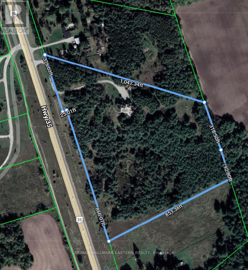 544 Highway 35, Kawartha Lakes (Manvers), Ontario  L0A 1K0 - Photo 2 - X13123880