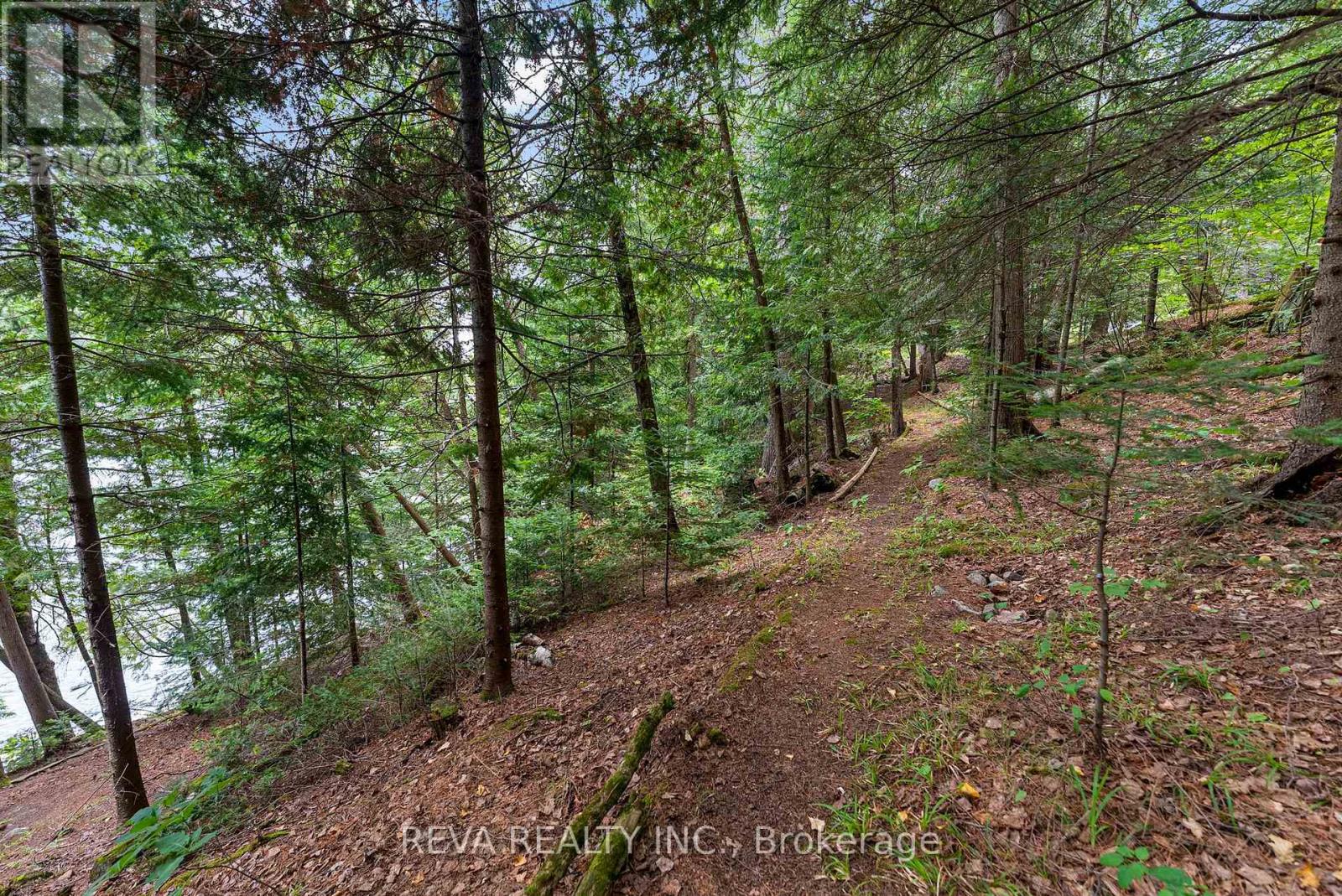 156 Ponacka Road, Hastings Highlands (Herschel Ward), Ontario  K0L 1C0 - Photo 36 - X13125030