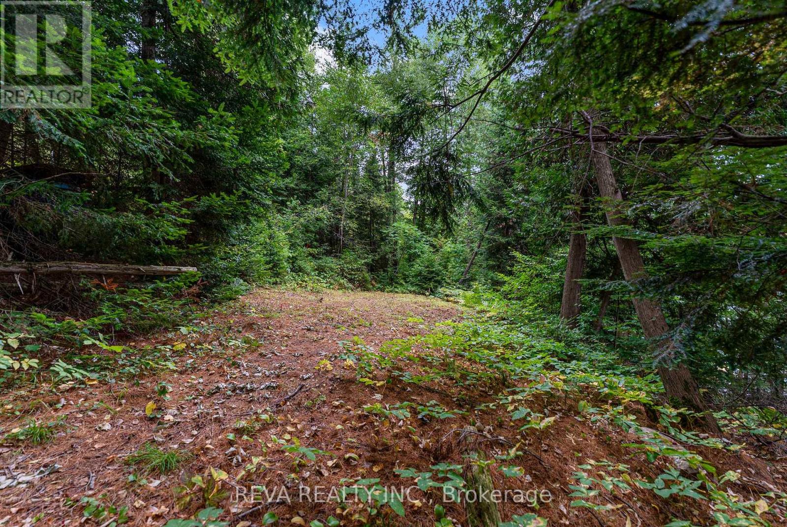 156 Ponacka Road, Hastings Highlands (Herschel Ward), Ontario  K0L 1C0 - Photo 37 - X13125030