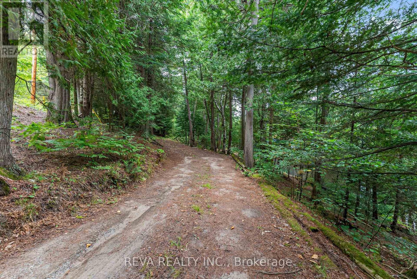 156 Ponacka Road, Hastings Highlands (Herschel Ward), Ontario  K0L 1C0 - Photo 38 - X13125030