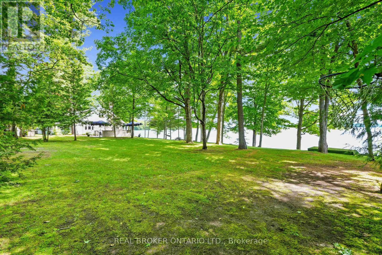 2021 Third Line, Douro-Dummer, Ontario  K0L 2H0 - Photo 38 - X13126312