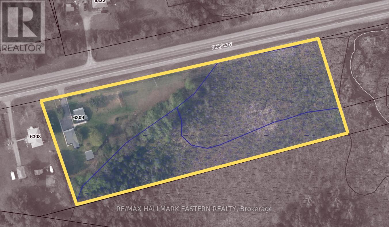 6309 Highway 7 East, Havelock-Belmont-Methuen (Belmont-Methuen), Ontario  K0L 1Z0 - Photo 4 - X13126404