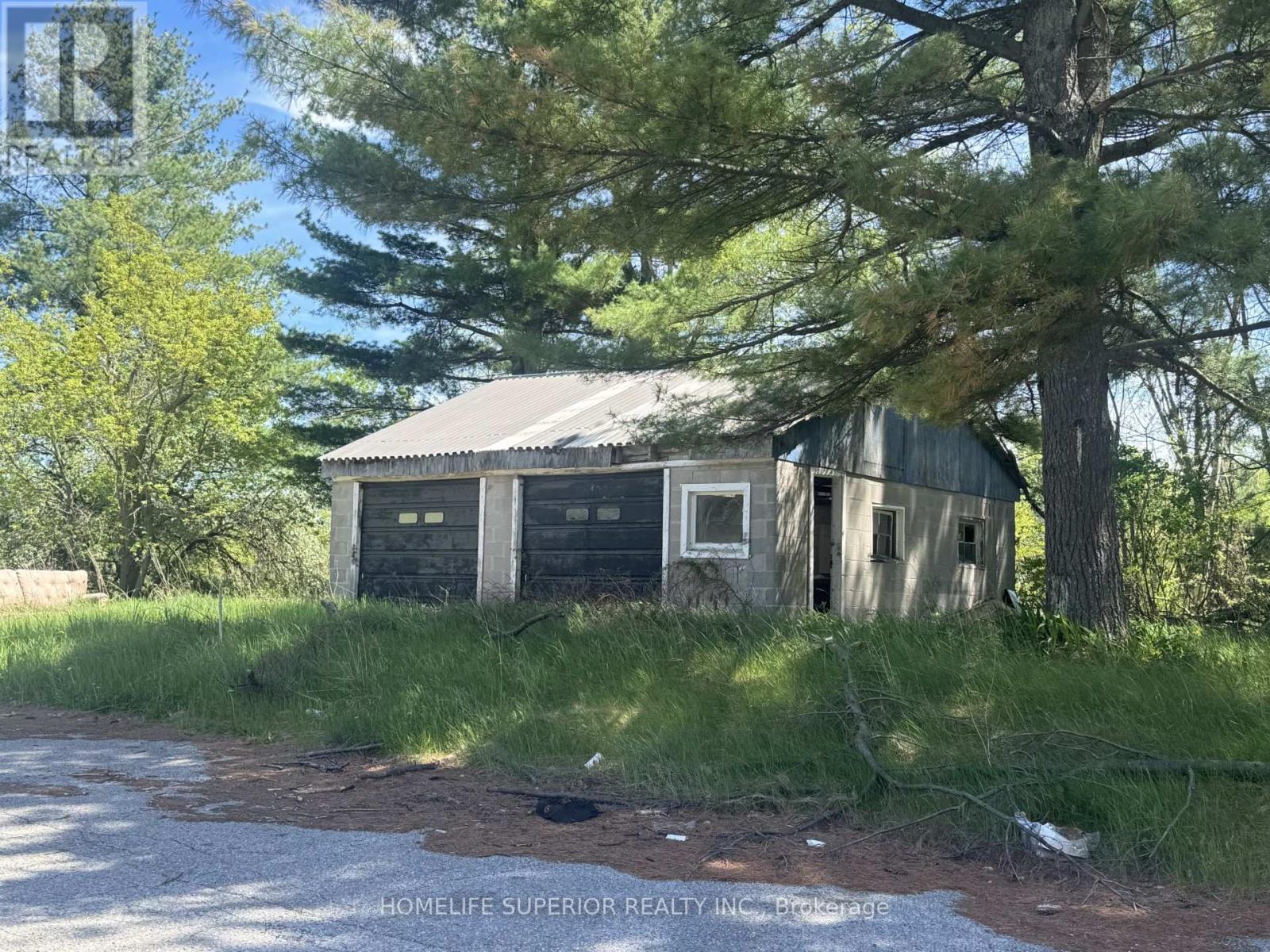7963 Hwy 7, Havelock-Belmont-Methuen (Havelock), Ontario  K0L 1Z0 - Photo 10 - X13127628