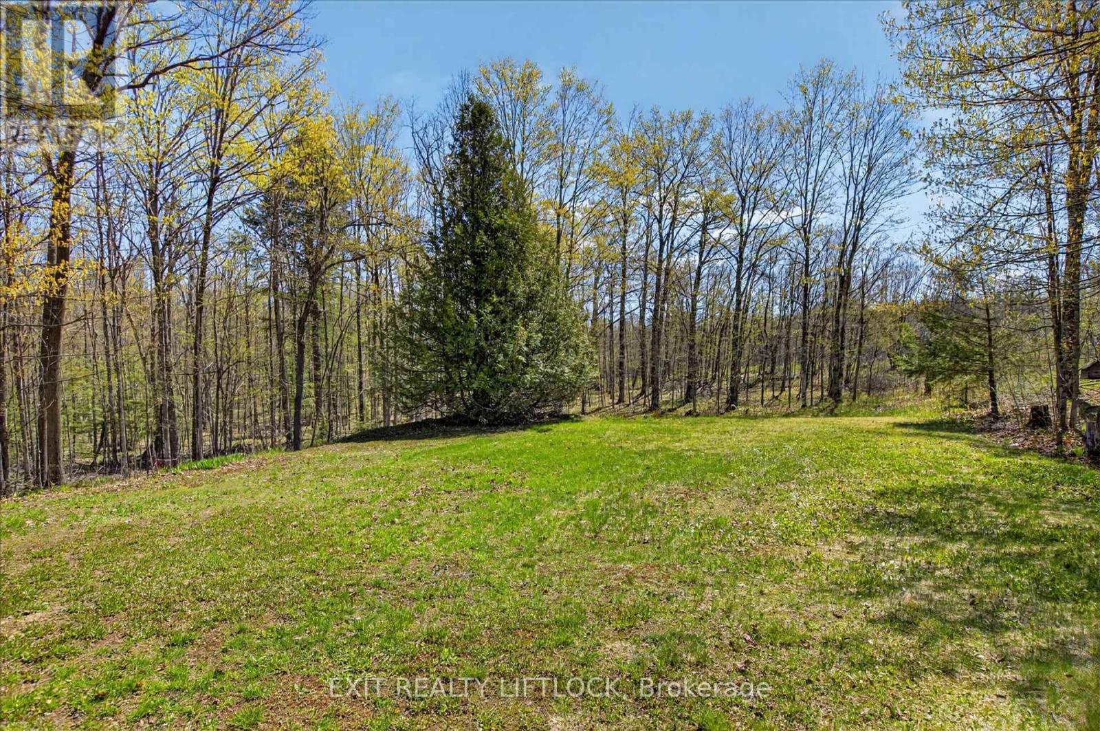 720 County Rd 507, Trent Lakes, Ontario  K0L 1J0 - Photo 22 - X13127980