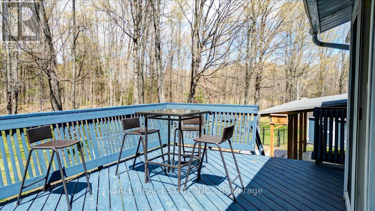 12482 Highway 28, North Kawartha, Ontario  K0L 1A0 - Photo 11 - X13129724