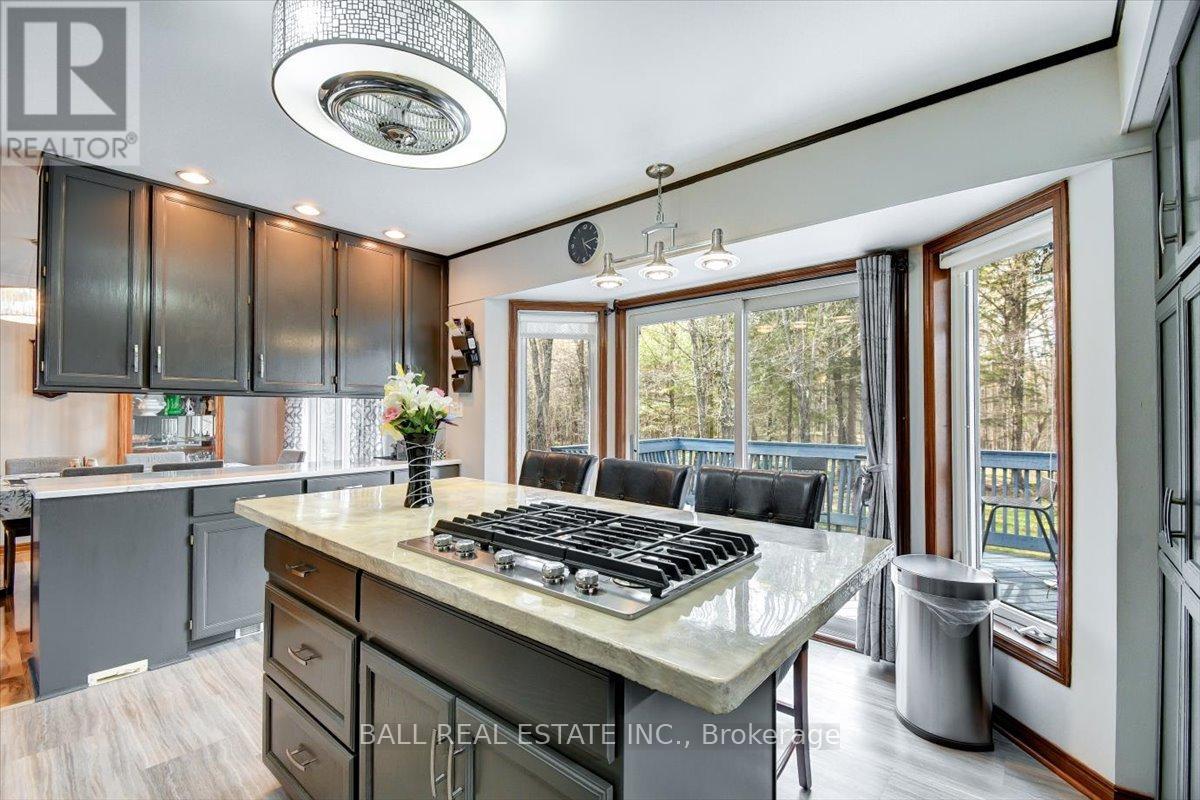 12482 Highway 28, North Kawartha, Ontario  K0L 1A0 - Photo 17 - X13129724