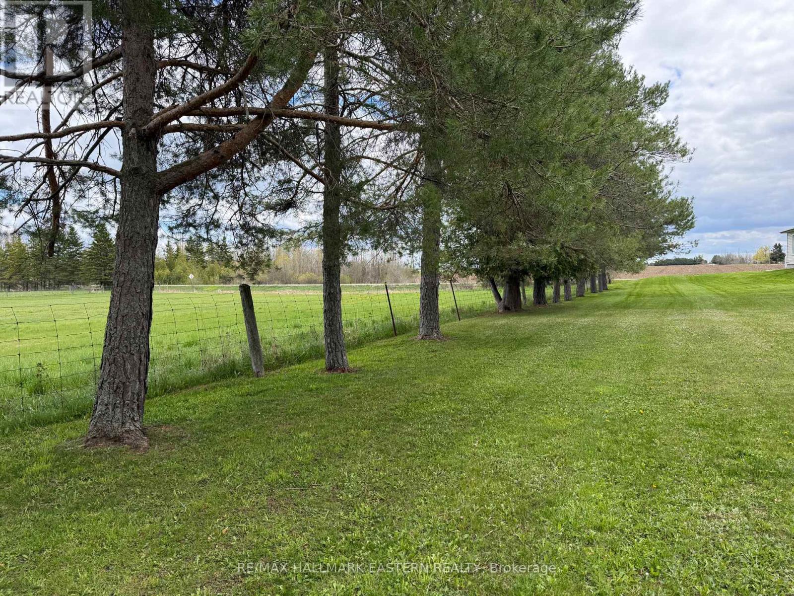 1320 Heights Road, Kawartha Lakes (Emily), Ontario  K9V 4R3 - Photo 27 - X13132686