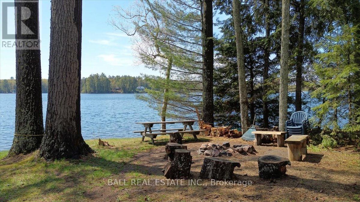 205 Moffat Road, North Kawartha, Ontario  K0L 1A0 - Photo 13 - X13133426