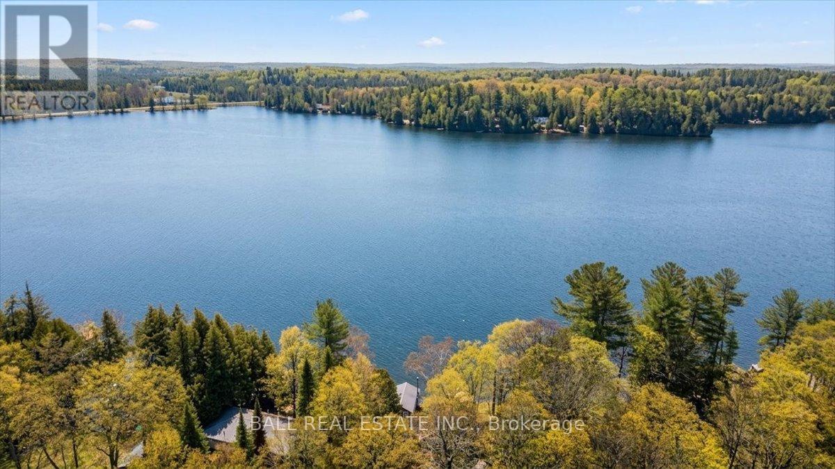 205 Moffat Road, North Kawartha, Ontario  K0L 1A0 - Photo 40 - X13133426