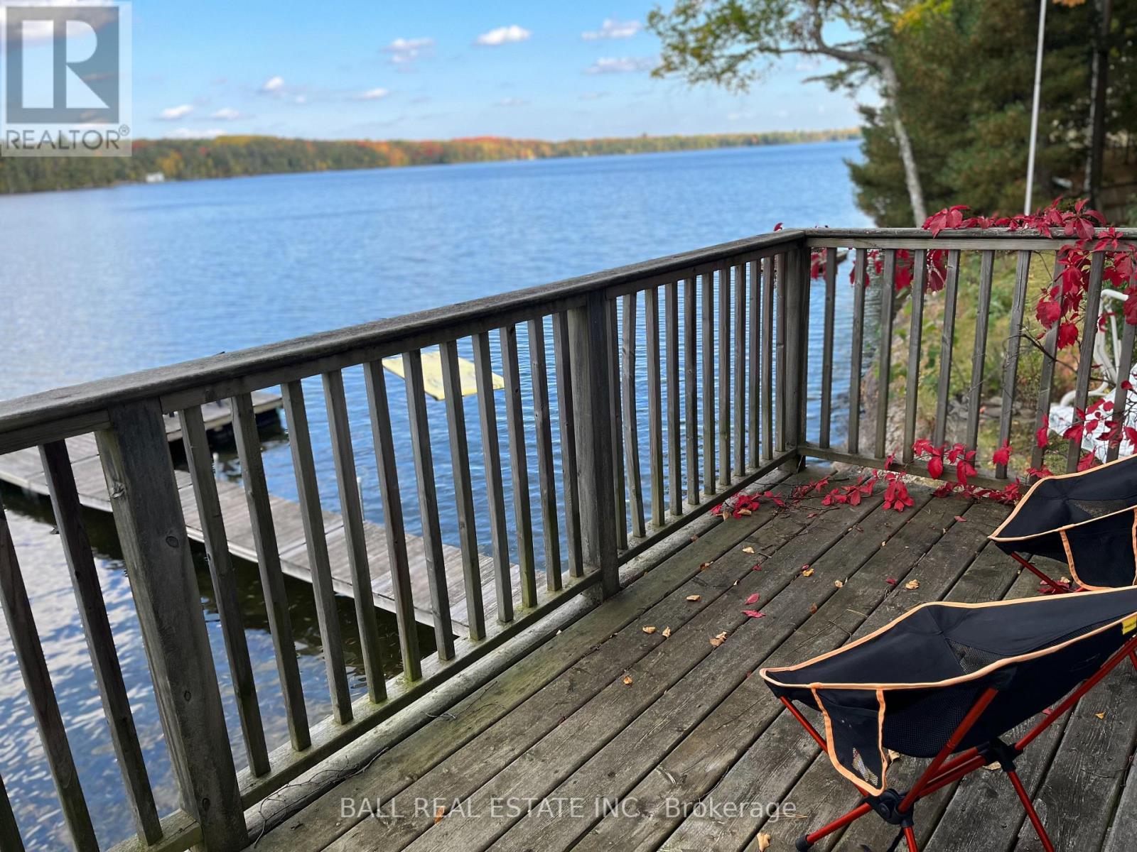 205 Moffat Road, North Kawartha, Ontario  K0L 1A0 - Photo 41 - X13133426