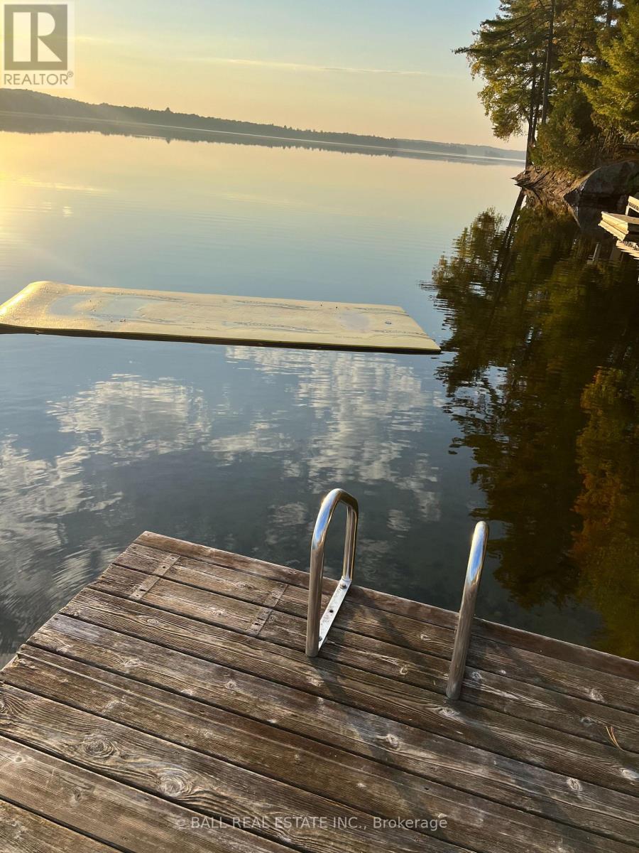 205 Moffat Road, North Kawartha, Ontario  K0L 1A0 - Photo 49 - X13133426