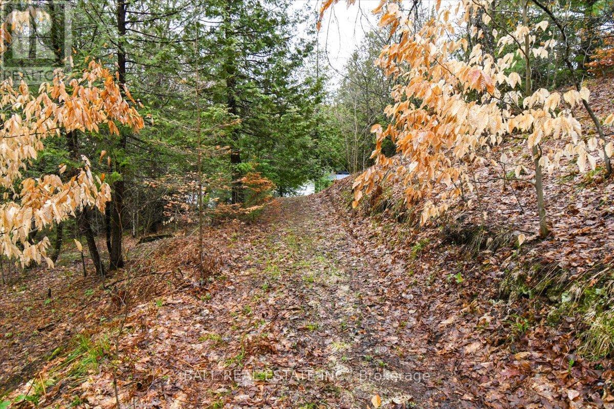130 Finnegan Lane, Wollaston, Ontario  K0L 1P0 - Photo 17 - X13134736