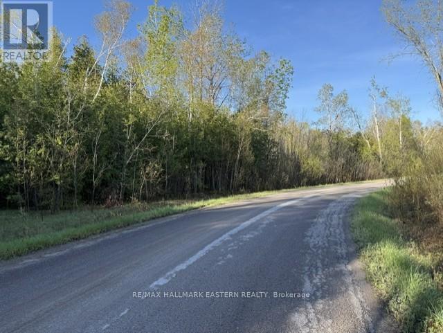 N/a Pratts Marina Road, Selwyn, Ontario  K0L 2H0 - Photo 4 - X13135072