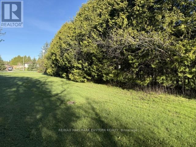 2011 Pratts Marina Road, Selwyn, Ontario  K0L 2H0 - Photo 3 - X13135168