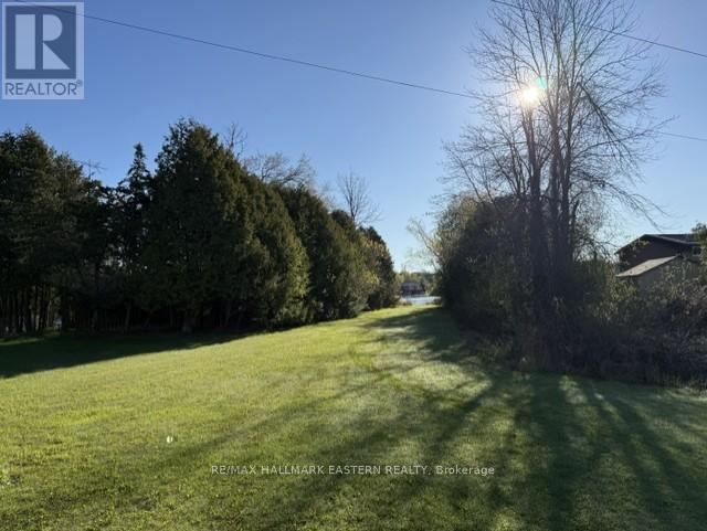 2011 Pratts Marina Road, Selwyn, Ontario  K0L 2H0 - Photo 5 - X13135168