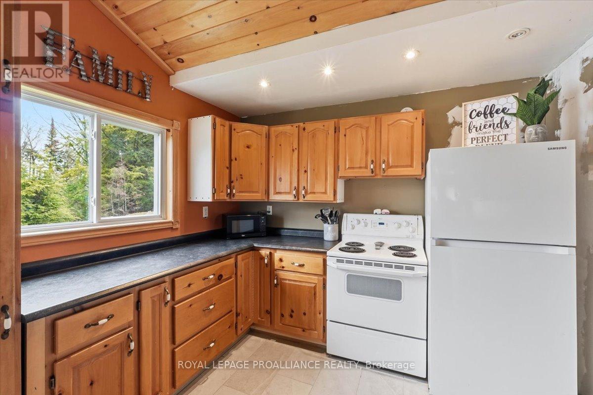 159a Granny's Lane, Addington Highlands (Addington Highlands), Ontario  K0L 1W0 - Photo 3 - X13136060