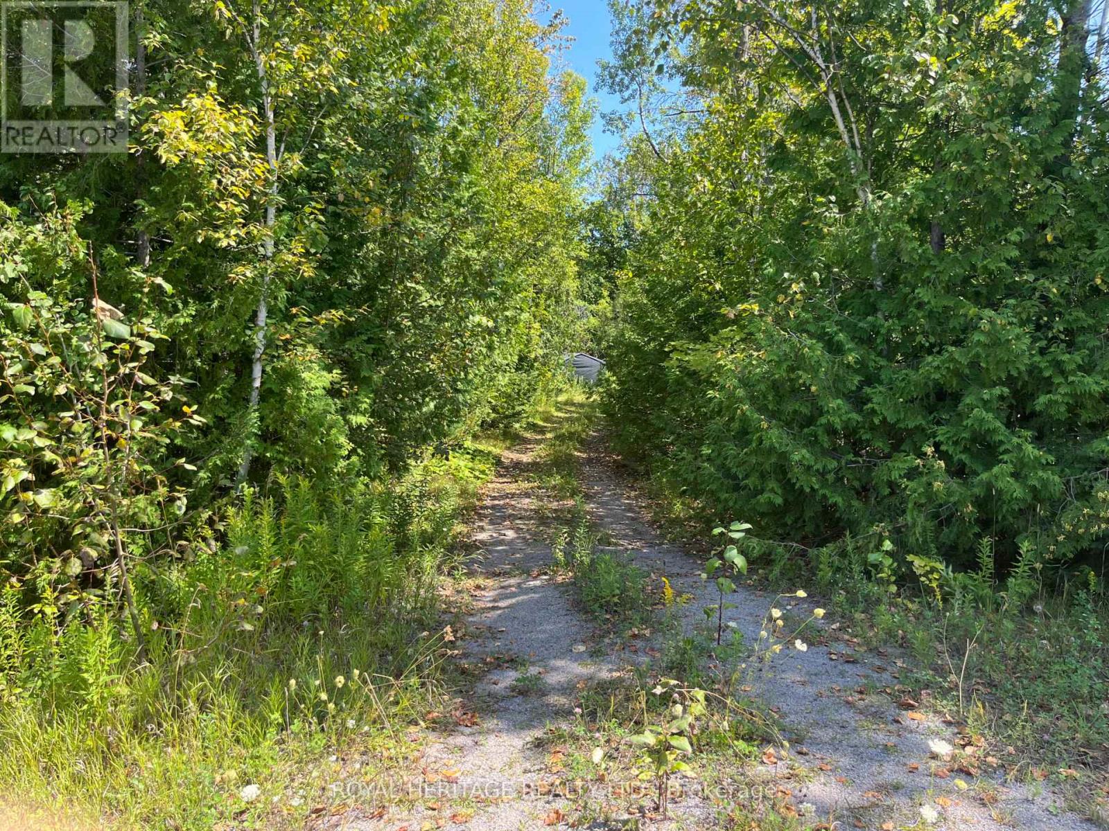 0 Sumcot Drive, Trent Lakes, Ontario  K0L 1J0 - Photo 3 - X13136638